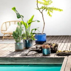 VIDAXL || SuperFish || Konstsmide Soldes Boutique -VIDAXL || SuperFish || Konstsmide Soldes Boutique 1043455 1997684