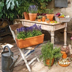 VIDAXL || SuperFish || Konstsmide Soldes Boutique -VIDAXL || SuperFish || Konstsmide Soldes Boutique 1053548 2001050