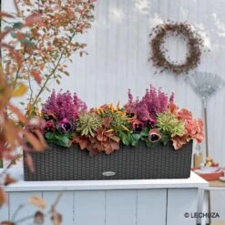 LECHUZA Jardinière Balconera Cottage En Plastique Granit - 79x19x19 Cm -VIDAXL || SuperFish || Konstsmide Soldes Boutique 340843 012