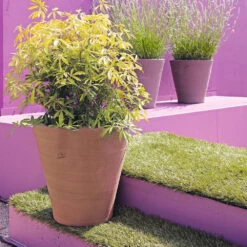 Cuvier Contemporain En Terre Cuite Ø 39 X H. 38cm -VIDAXL || SuperFish || Konstsmide Soldes Boutique 340891 003