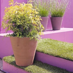 Cuvier Contemporain En Terre Cuite Ø 47 X H. 48cm -VIDAXL || SuperFish || Konstsmide Soldes Boutique 340892 005