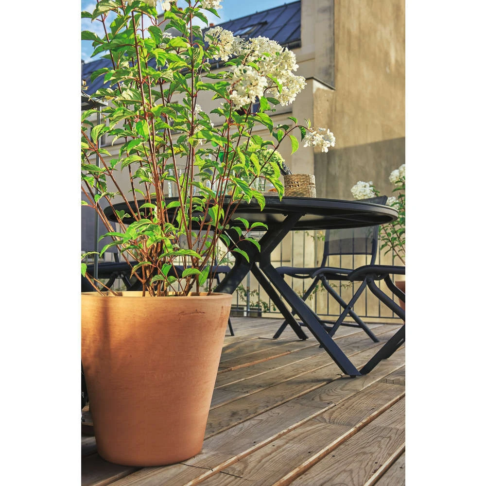 Cuvier Haut Droit En Terre Cuite Ø 37 X H. 60cm 4 Cuvier Haut Droit En Terre Cuite Ø 37 X H. 60cm – Image 2