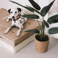 Coussin De Sol Ou D'assise Matelassé Polyester Taupe 120 X 80 X 12cm -VIDAXL || SuperFish || Konstsmide Soldes Boutique 478dc3b17587d729