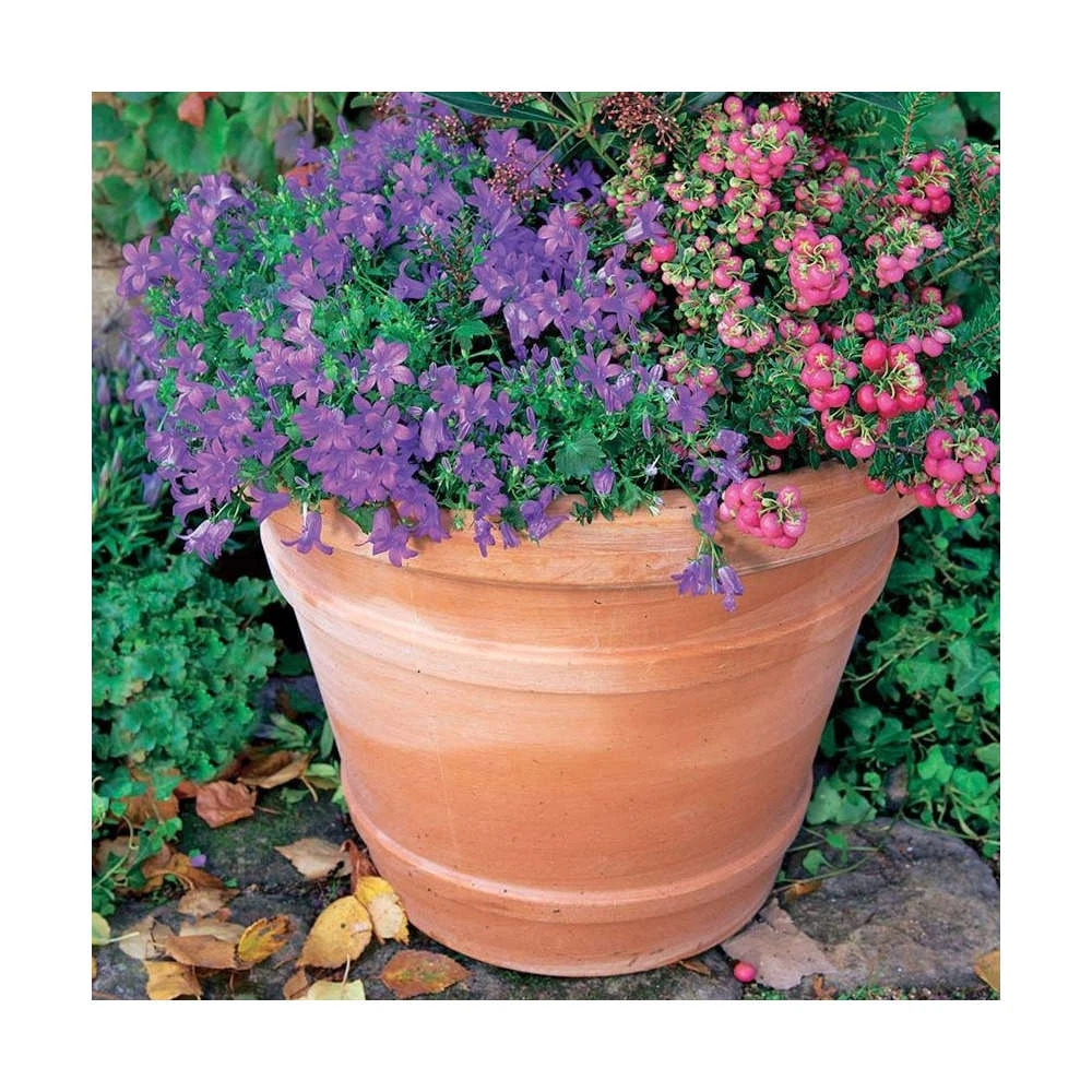 Cuvier Moulure En Terre Cuite Ø 50 X H. 40cm 4 Cuvier Moulure En Terre Cuite Ø 50 X H. 40cm – Image 2