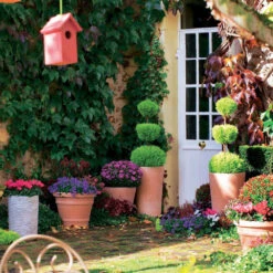 Cuvier Moulure En Terre Cuite Ø 50 X H. 40cm 8 Cuvier Moulure En Terre Cuite Ø 50 X H. 40cm -VIDAXL || SuperFish || Konstsmide Soldes Boutique 535774 006