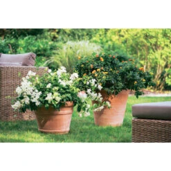 Cuvier Moulure En Terre Cuite Ø 50 X H. 40cm 9 Cuvier Moulure En Terre Cuite Ø 50 X H. 40cm -VIDAXL || SuperFish || Konstsmide Soldes Boutique 535774 008