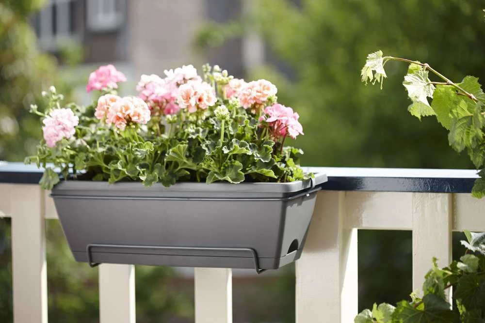 Elho Jardinière "Barcelona" En Plastique Gris Anthracite - L50cm 6 Elho Jardinière "Barcelona" En Plastique Gris Anthracite - L50cm – Image 4