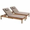 Lot De 2 Bains De Soleil Avec Coussin Et Tablette En Bois Taupe -VIDAXL || SuperFish || Konstsmide Soldes Boutique 53b13f94bc004987