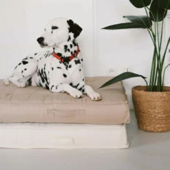 Coussin De Sol Ou D'assise Matelassé Polyester écru 120 X 80 X 12cm -VIDAXL || SuperFish || Konstsmide Soldes Boutique 5e100d47df694be5