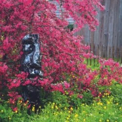 Statue Demi-visage Métal Mosaïque 101 Cm - Gris Anthracite -VIDAXL || SuperFish || Konstsmide Soldes Boutique 6435a5420cc999.65726983