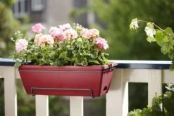 Elho Jardinière Barcelona En Plastique Rouge - 50x28,6x21,4 Cm -VIDAXL || SuperFish || Konstsmide Soldes Boutique 644362 005