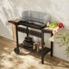 Barbecue Au Charbon - Alfred - Noir Et Gris. Hauteur De Grille Ajustable. Cuve émaillée. Tablettes En Bois. Étagère Et Crochets -VIDAXL || SuperFish || Konstsmide Soldes Boutique 64467a734481f4.37226736