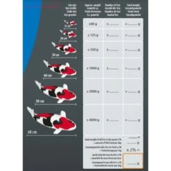 Sf Koi Pro Fish Feeder -VIDAXL || SuperFish || Konstsmide Soldes Boutique 64496f0e8b29c8.89650195