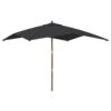 VIDAXL Parasol De Jardin Avec Mât En Bois Noir 300x300x273 Cm