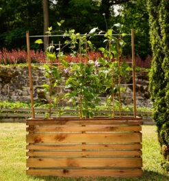 Bac à Fleurs Avec Treillis Lign Z -VIDAXL || SuperFish || Konstsmide Soldes Boutique 645b8bdd7a0230.26493431