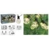 Progarden Ensemble D'éclairage à Led De Fête De Jardin 80 Micro Led -VIDAXL || SuperFish || Konstsmide Soldes Boutique 645e86ae3307a4.16477102