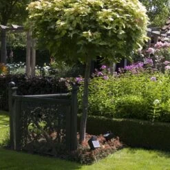 LuxForm Projecteur Led Solaire Lazise 2 Pcs Noir 44239 -VIDAXL || SuperFish || Konstsmide Soldes Boutique 645e87032f4202.96865986