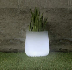 Pot Lumineux Camelia 40 Solaire+batterie Rechargeable Led Rgb Avec Télécommande ø39x39cm -VIDAXL || SuperFish || Konstsmide Soldes Boutique 646fa5acb05131.48463673