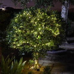 Guirlande Solaire Luciole 200 Leds -VIDAXL || SuperFish || Konstsmide Soldes Boutique 646fa6747fa0a1.06988249