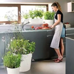 Pot Vaso Save R à Réserve D'eau En Plastique Bianco Ø29cm 9 Pot Vaso Save R à Réserve D'eau En Plastique Bianco Ø29cm -VIDAXL || SuperFish || Konstsmide Soldes Boutique 907981 003