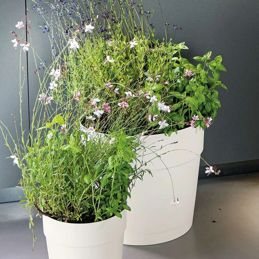 Pot Vaso Save R à Réserve D'eau En Plastique Bianco Ø29cm 5 Pot Vaso Save R à Réserve D'eau En Plastique Bianco Ø29cm – Image 3